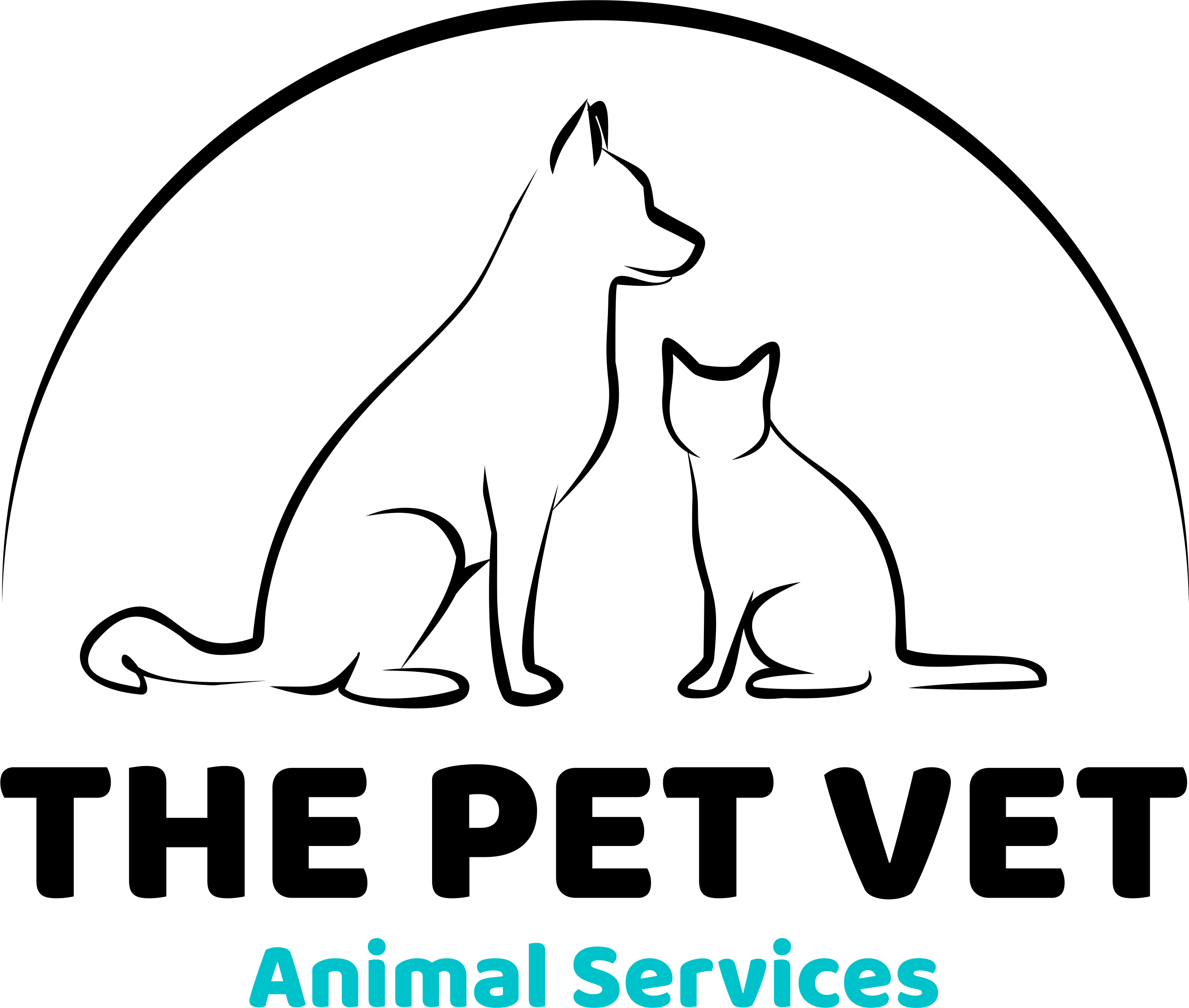 The Pet Vet Animal Services
